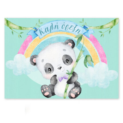 Σουπλά αρκουδάκι Panda