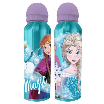 Παιδικό Παγούρι μεταλλικό – Frozen 2